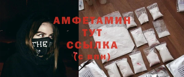 амф Дмитриев