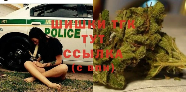 амф Дмитриев
