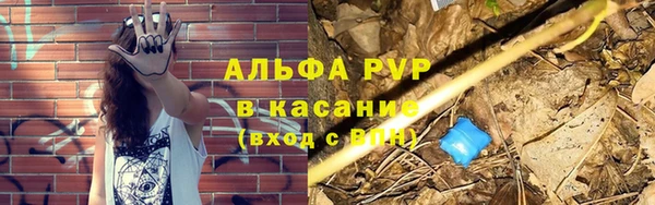 амф Дмитриев