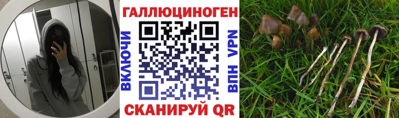 Галлюциногенные грибы мицелий  Озёры 